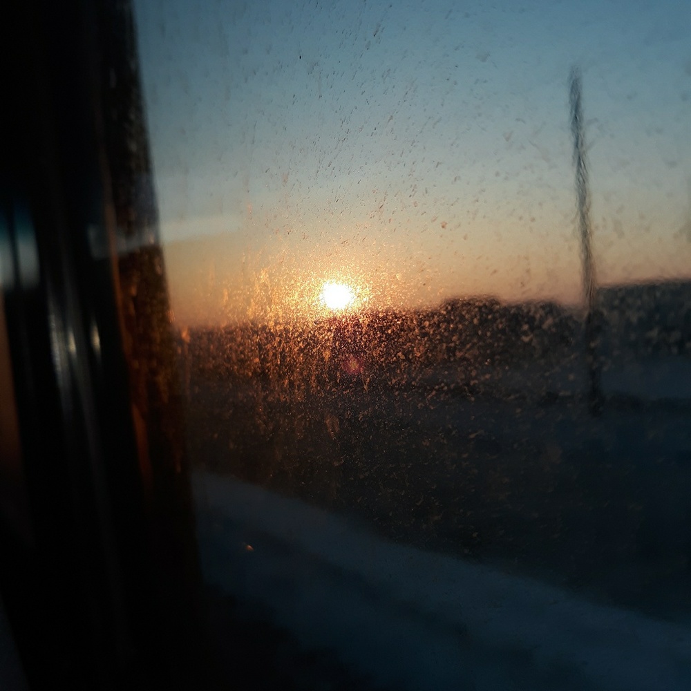 Meet your Posher, Anna